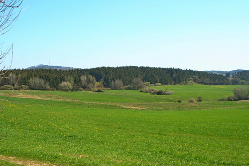 Winterlandschaft am Afelskreuz