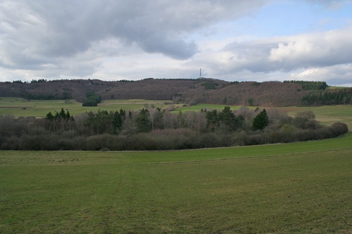 Mosbrucher Weiher